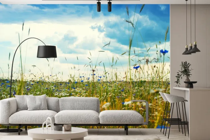 Fototapeta: Chabry i stokrotki na polnej łące