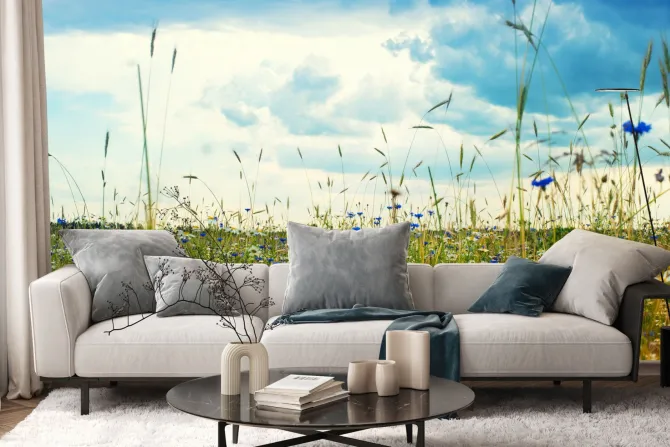 Fototapeta: Chabry i stokrotki na polnej łące