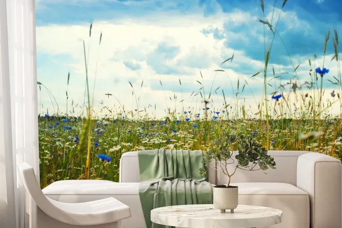 Fototapeta: Chabry i stokrotki na polnej łące