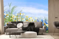 Fototapeta: Chabry i stokrotki na wiosennej łące