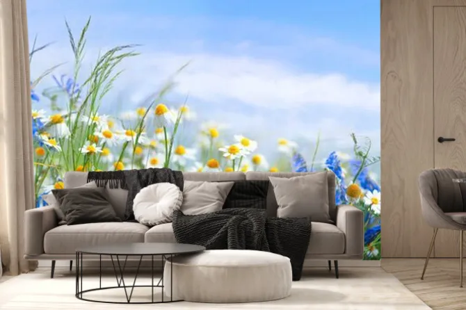 Fototapeta: Chabry i stokrotki na wiosennej łące