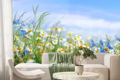 Fototapeta: Chabry i stokrotki na wiosennej łące