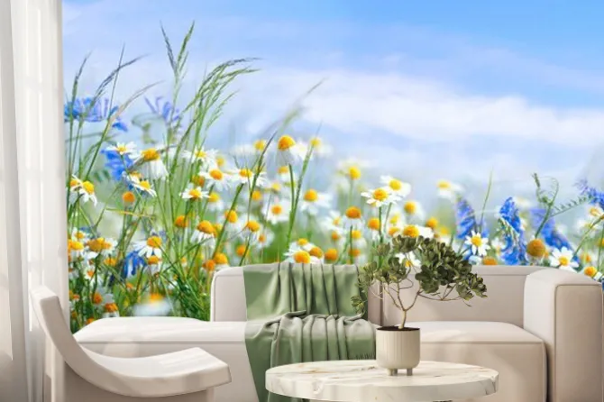 Fototapeta: Chabry i stokrotki na wiosennej łące