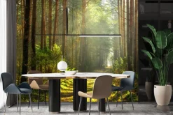 Fototapeta: Ścieżka w słonecznym lesie