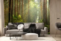 Fototapeta: Ścieżka w słonecznym lesie