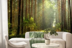 Fototapeta: Ścieżka w słonecznym lesie