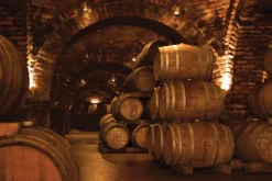 Fototapeta: Ciemna piwnica z beczkami
