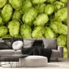 Fototapeta: Close up background of fresh green beer hops