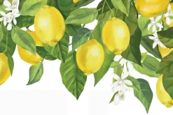 Fototapeta: Cytryny na liściastym drzewie z kwiatami