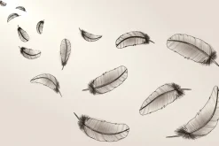 Fototapeta: Czarne malowane pióra na jasnym tle