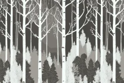 Fototapeta: Czarno biały las z brzozami