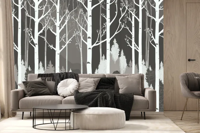 Fototapeta: Czarno biały las z brzozami