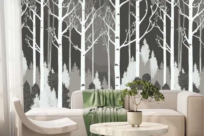 Fototapeta: Czarno biały las z brzozami