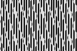 Fototapeta: Czarno-białe paski wzór zebry