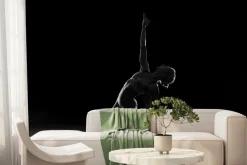 Fototapeta: Czarno-białe zdjęcie gimnastyczki