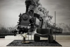 Fototapeta: Czarno-białe zdjęcie jadącego pociągu parowego