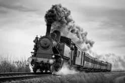 Fototapeta: Czarno-białe zdjęcie jadącego pociągu parowego
