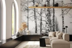 Fototapeta: Czarno-biały brzozowy las