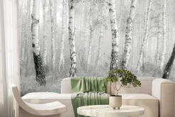 Fototapeta: Czarno-biały las brzozowy