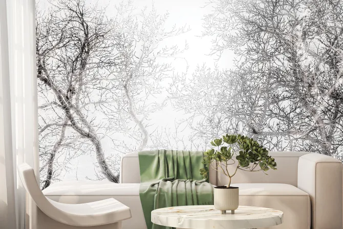 Fototapeta: Czarno-biały las z widokiem na gałęzie drzew