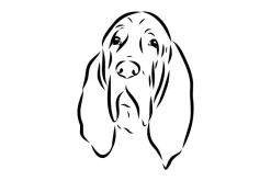 Fototapeta: Czarno-biały rysunek psa