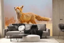 Fototapeta: Czerwony lis na polanie