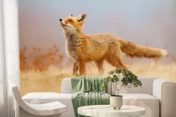 Fototapeta: Czerwony lis na polanie