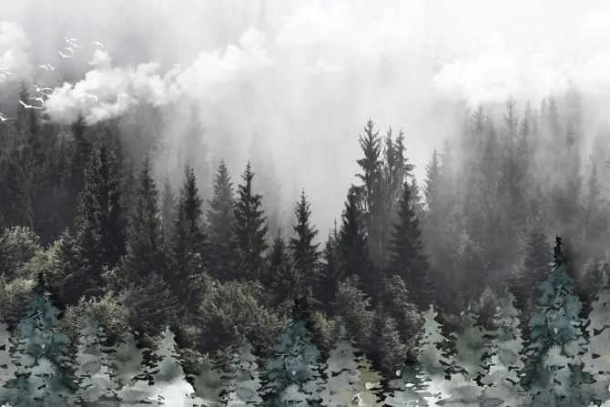 Fototapeta: 3d mural illustration drawing landscape forest tree wallpaper