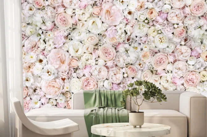 Fototapeta: Delicate blooming festive light pink and white flowers, blossoming