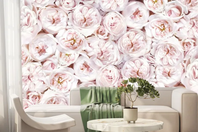 Fototapeta: Delicate blossoming roses, blooming flowers festive background,