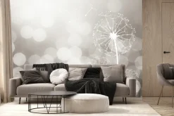 Fototapeta: Delikatne dmuchawce w świetle