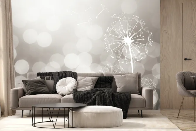 Fototapeta: Delikatne dmuchawce w świetle