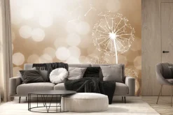 Fototapeta: Delikatne dmuchawce w świetle