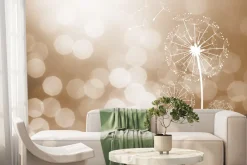 Fototapeta: Delikatne dmuchawce w świetle