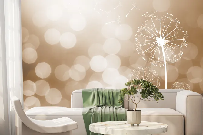 Fototapeta: Delikatne dmuchawce w świetle