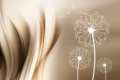 Fototapeta: Delikatne dmuchawce w świetle