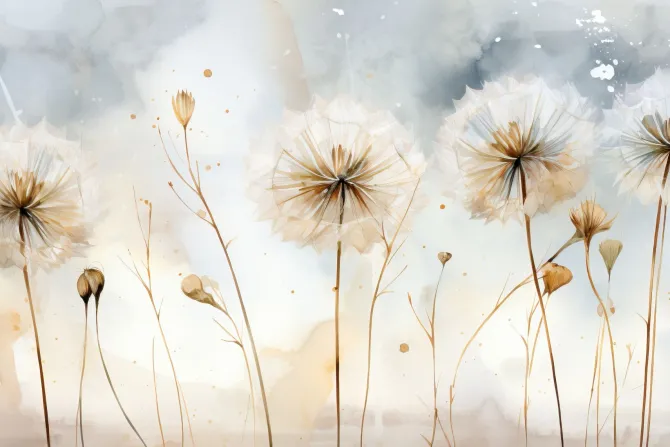 Fototapeta: Delikatne dmuchawce na akwarelowym tle subtelny botaniczny motyw