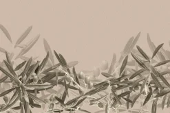 Fototapeta: Delikatne gałązki oliwne na jasnym tle