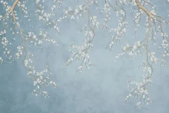 Fototapeta: Delikatne kwiaty wiśni na niebieskim tle