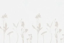 Fototapeta: Delikatne kwiaty polne w stylu minimalistycznym