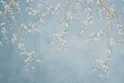 Fototapeta: Delikatne kwitnące kwiaty wiśni