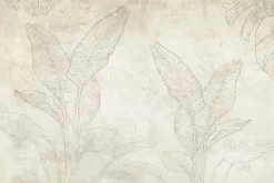 Fototapeta: Delikatne liście bananowca i monstery w stylu szkicu na betonowym