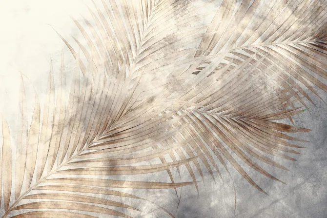 Fototapeta: Delikatne liście palm na betonie