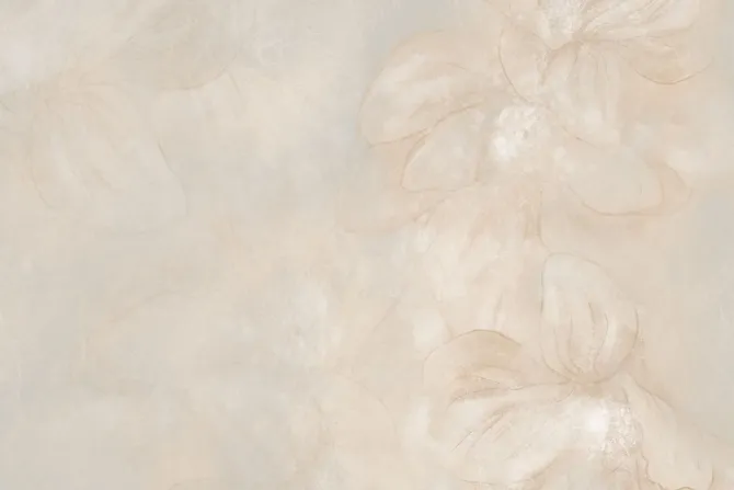 Fototapeta: Delikatne płatki kwiatów na beżowej ścianie