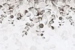 Fototapeta: Delikatne szare liście na jasnym tle