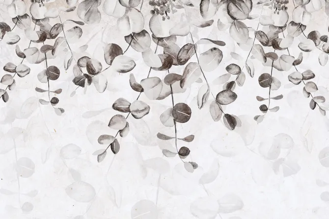 Fototapeta: Delikatne szare liście na jasnym tle