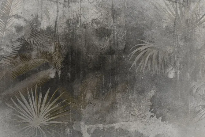 Fototapeta: Delikatne tropikalne rośliny na betonie