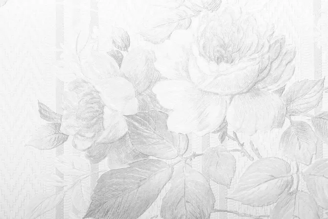 Fototapeta: Delikatny szkic kwiatów róży i liści