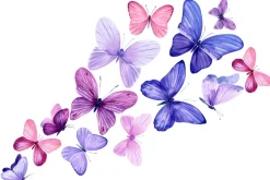 Fototapeta: Delikatny wzór z motylami w stylu akwareli na jasnym tle