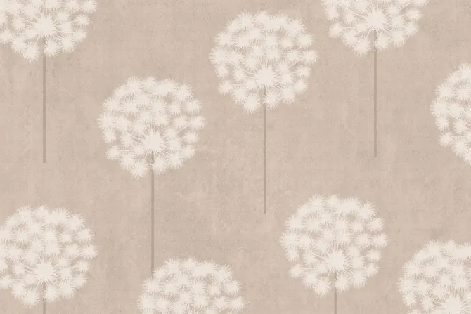 Fototapeta: Dmuchawce białe kwiaty w roślinnym motywie na tle w beżowych